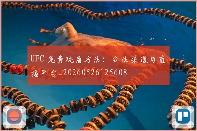 UFC 免费观看方法：合法渠道与直播平台_20260526125608